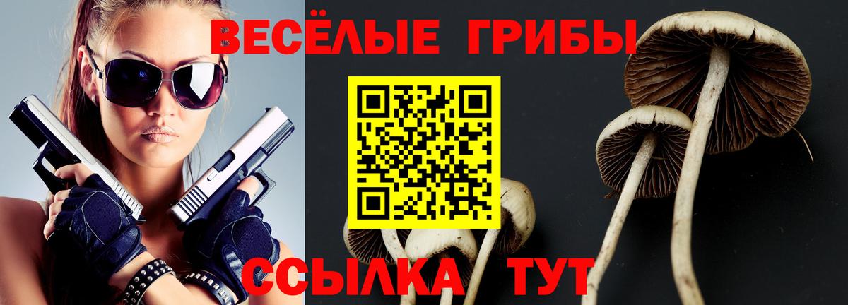 Галлюциногенные грибы Cubensis Белорецк